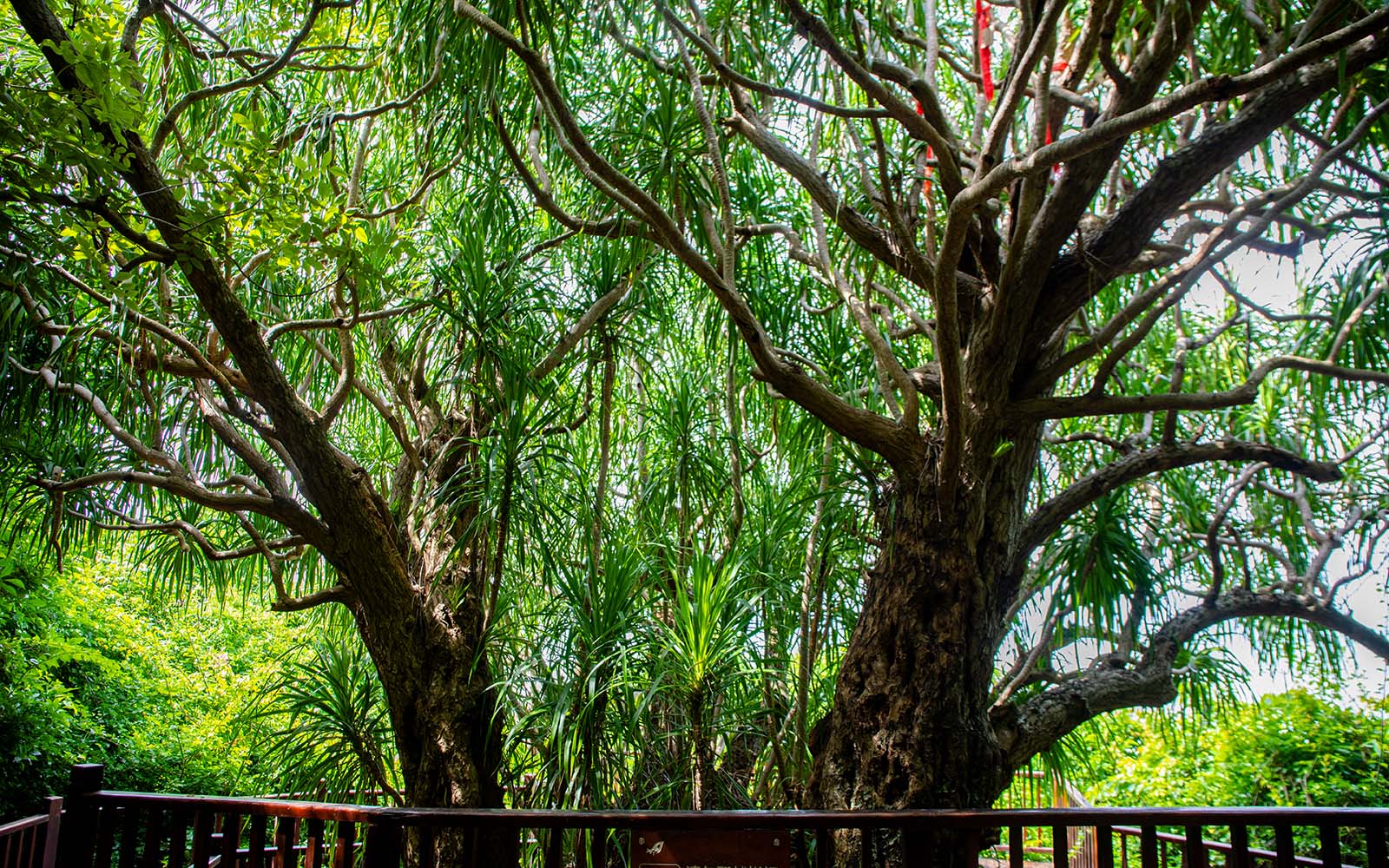 Большая дыра